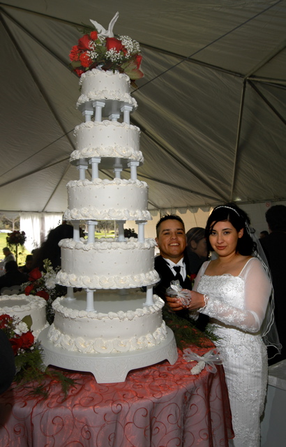 Wedding.cake.120